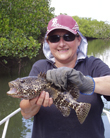 Mangrove Cod Hinchinbrook 2003